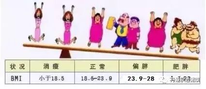 薄荷爱瘦身bmi什么意思_薄荷爱瘦身_薄荷爱瘦身app