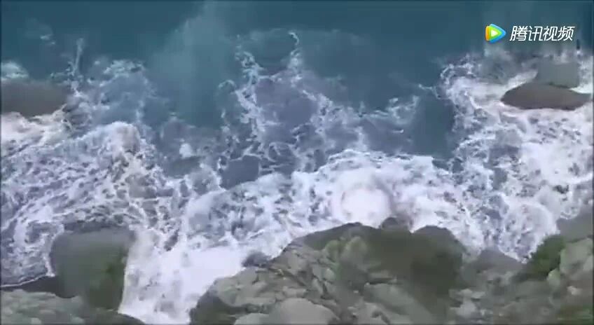 收录于合集⭐小提琴《清晨》优美动听，心旷神怡