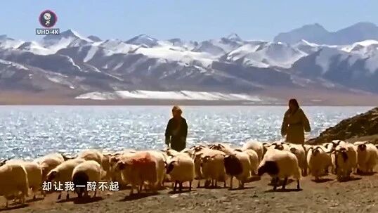 收录于合集⭐温情钢琴版《可可托海的牧羊人》