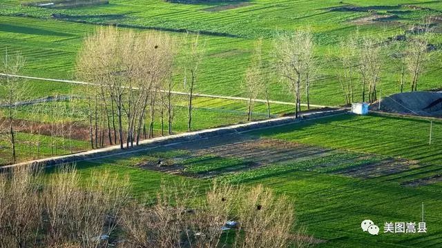 中药药膳创新创业项目 “旅游+中药” 开拓嵩县乡村旅游精准扶贫新途径