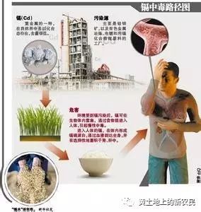 贡献了土壤中最大的污染物——镉 土壤中的镉含量,55%是来自化肥