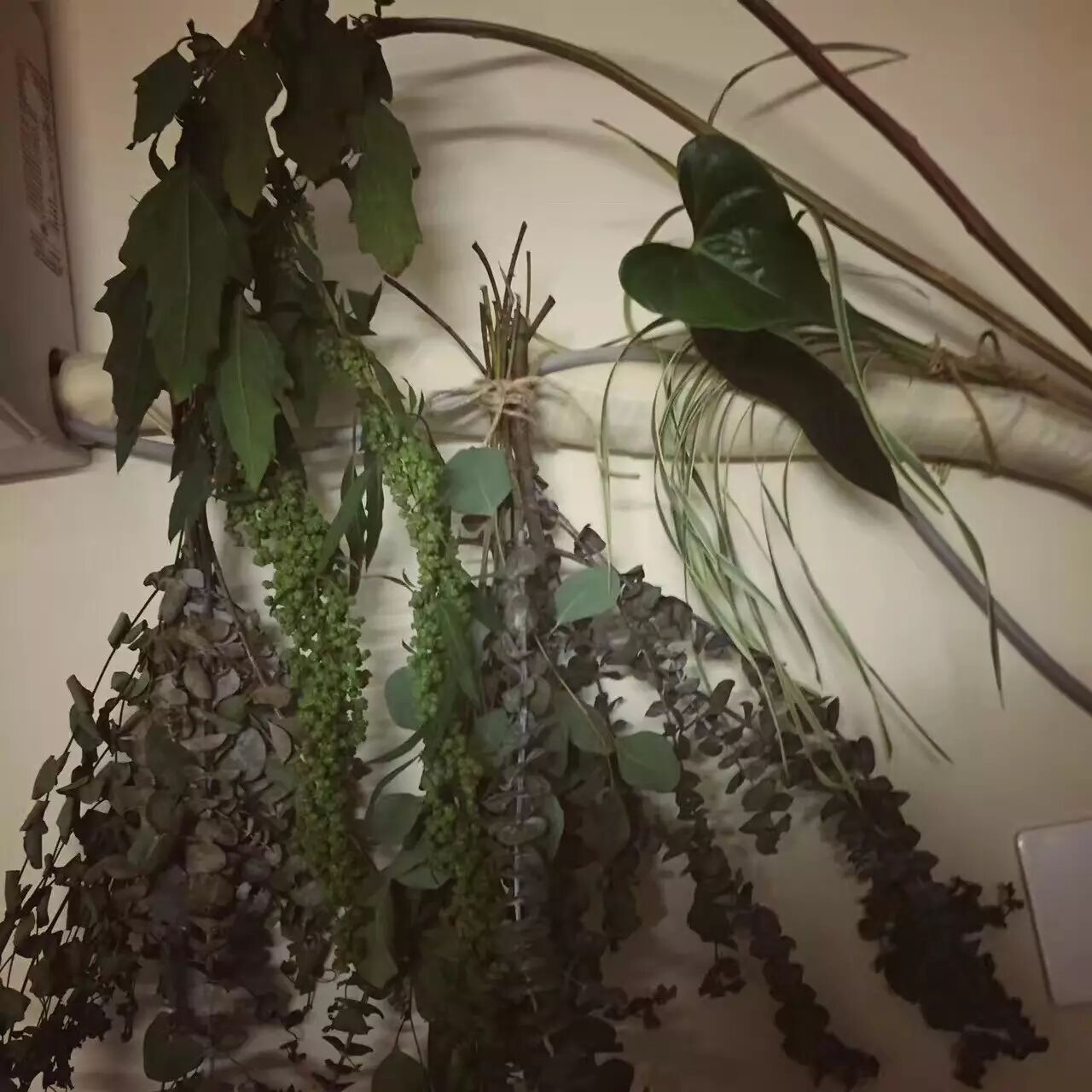 性瘾者 - 5