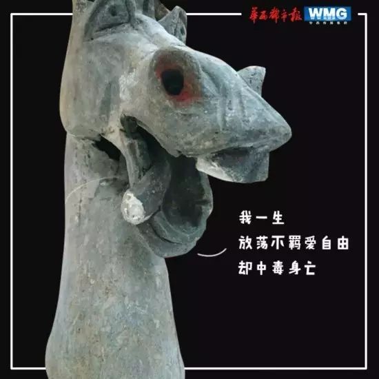 近日,四川广汉三星堆博物馆的工作人员晒出一组图,一个出土的马头