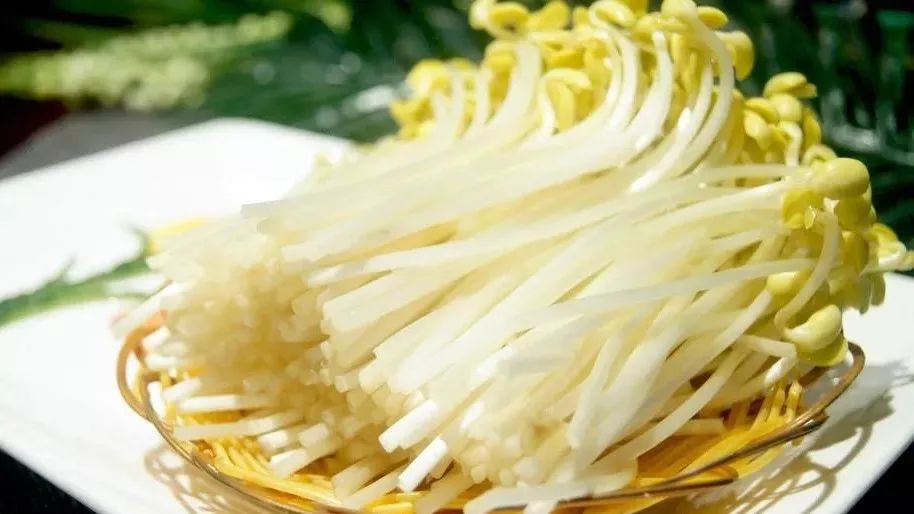 原来这些才是吃火锅的素菜之最,你怎么看?