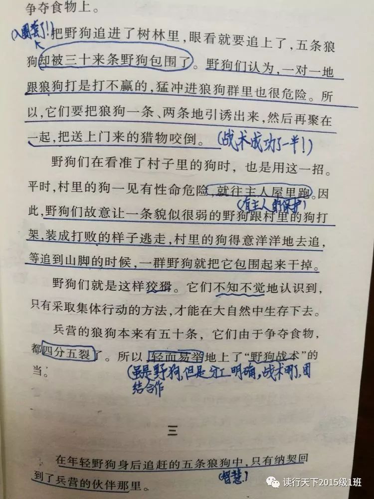 教你怎么做批注