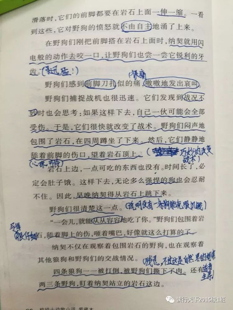 教你怎么做批注