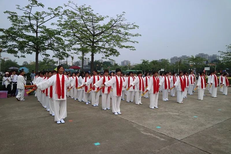 共同参与了的千人太极拳,健身气功八段锦和功夫扇表演,通过太极与艺术