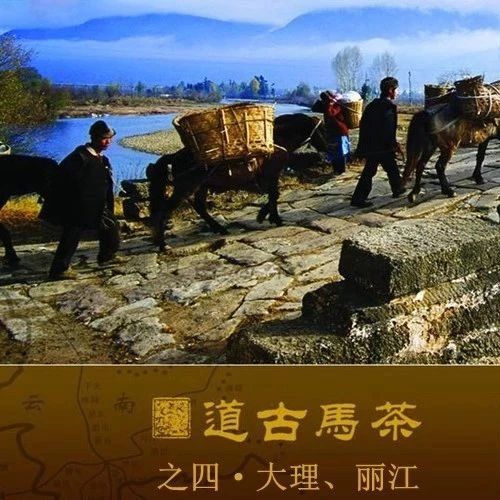 陈升学堂|第50期:茶马古道之四·大理、丽江