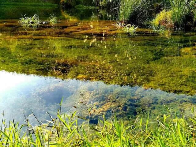 黔东南有哪些地方_黔东南旅游景点有哪些地方_黔东南景点地图
