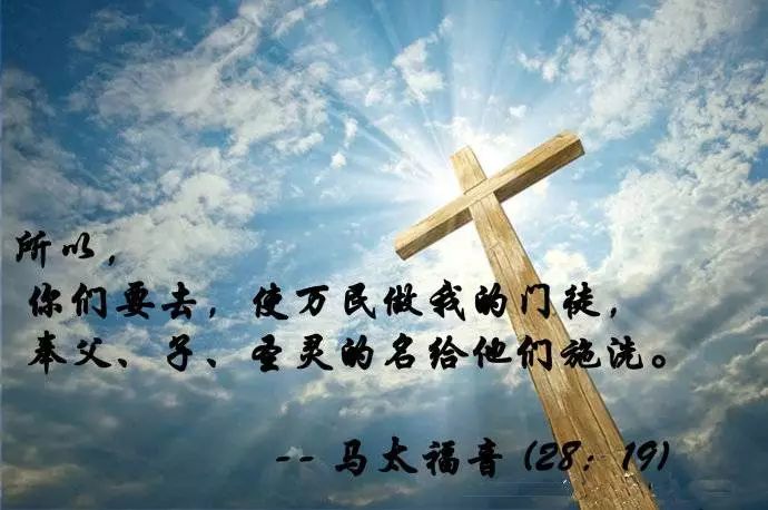 信徒生命所经历的顺境逆境,高山低谷,都是为了成全信徒各尽其职,建立