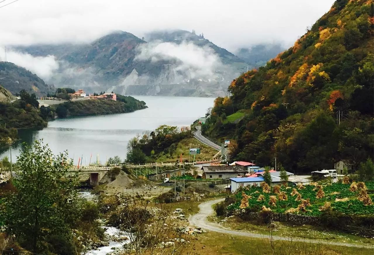 一叶知秋,东拉山神木垒遇见森林,彩林,云海,湖泊,溪流,骏马,野蘑菇