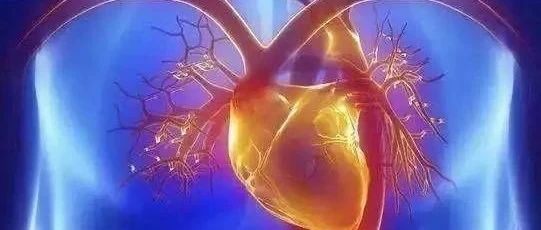 早读 | 快速读懂心脏超声的5大关键点，心内科医生必知！