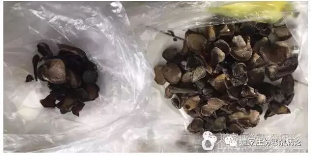 中药造假案例：遗祸后代子孙