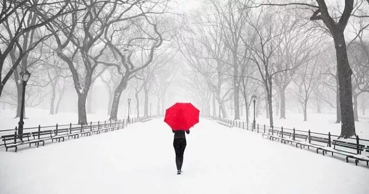 Packaging and printing quotation