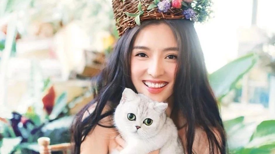 明星图片| 潘辰抱猫咪置身花丛高清唯美写真