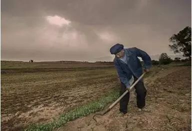 老一辈农民最有用的"种地口诀",你都听说过哪些?
