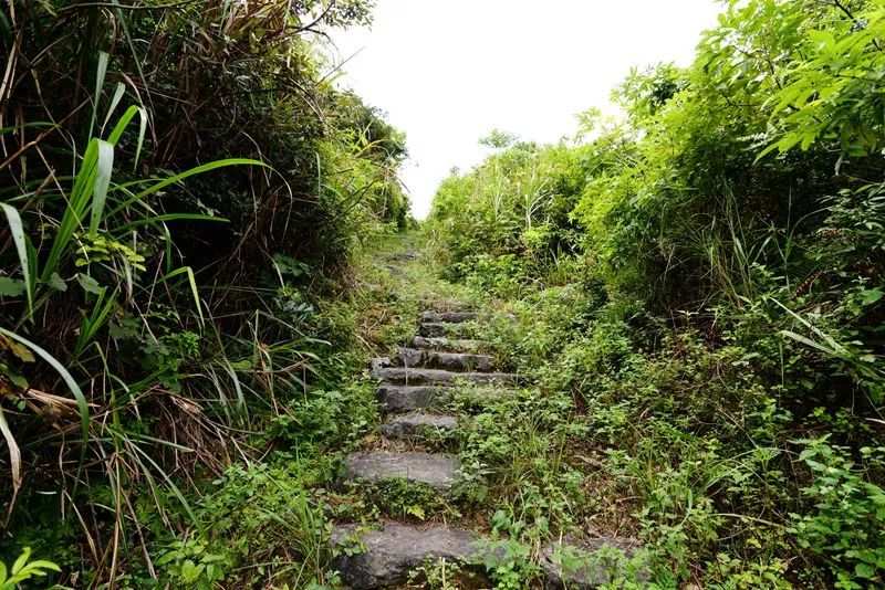 记录《西京古道》之一《千年古道 秘境奇观》