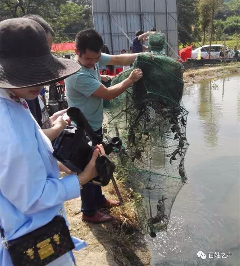 官溪出了李小华 桂阳有了大闸蟹