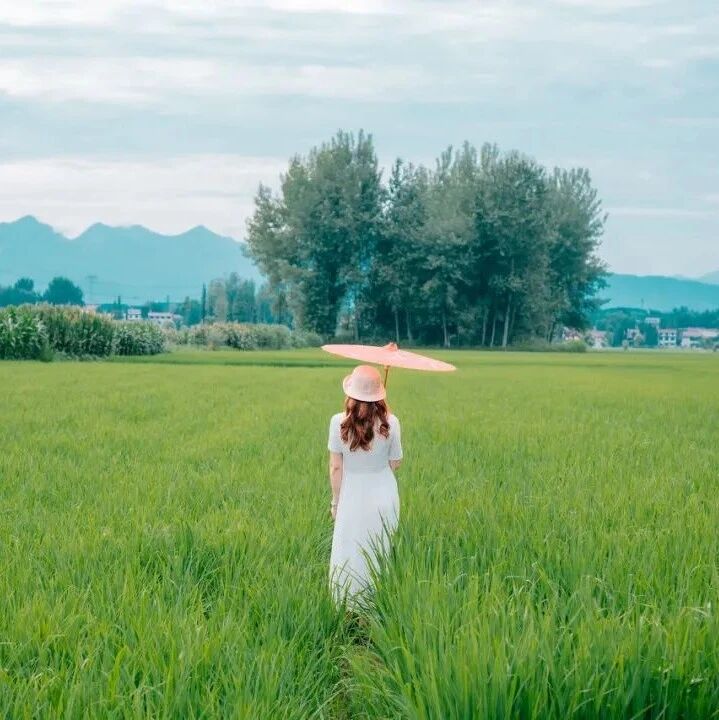 人间朝暮，慢慢散步