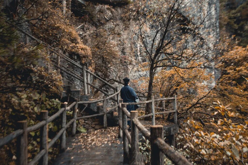 闭门即是深山，修行处处净土！