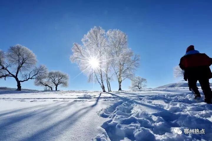 冻的缩~千里冰封万里雪飘——北国风光赏析