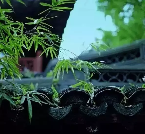 中国式瓦房,惊艳了谁的时光? - 夏季草原 - 夏季草原的博客 中国式瓦房,惊艳了谁的时光? - 夏季草原 - 夏季草原的博客
