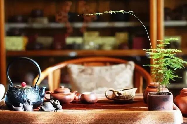 今日大雪，何不聚而饮黑茶