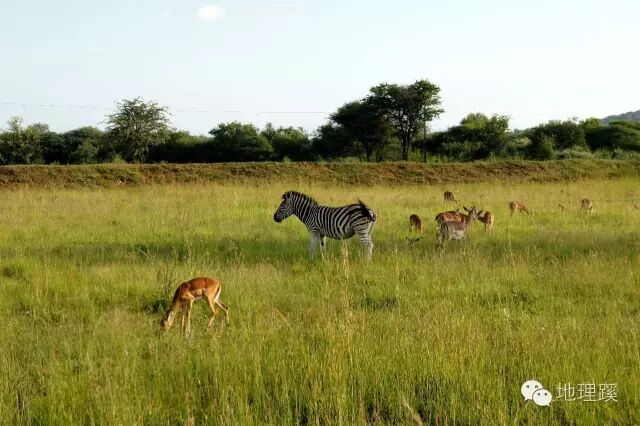 好望角地理位置_好望角地处什么洋_好望角地形图