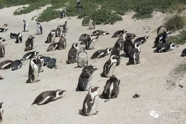 好望角地处什么洋_好望角地形图_好望角地理位置