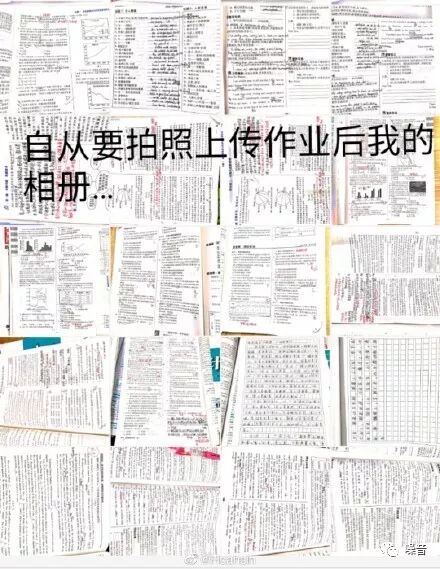 停课不停学，正在变成一场人道灾难。