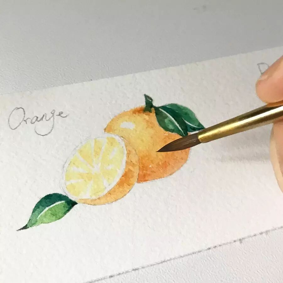 水彩画里的orange