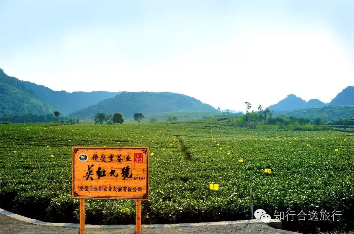 广州英德仙湖山地超马,去红茶之乡,探寻宋朝古村落!