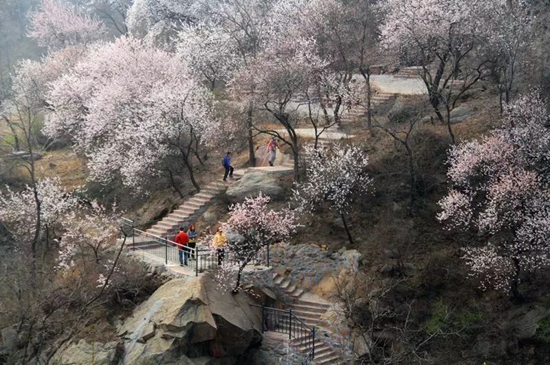 赞皇棋盘山