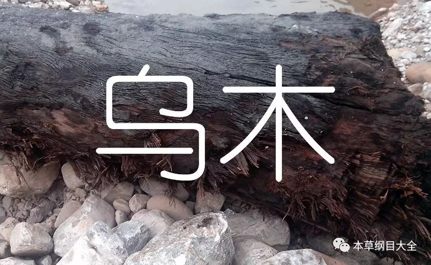 乌木又名阴沉木,沉木乌文木,翳木,文木,乌樠木