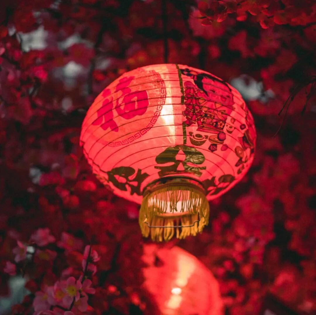 “家”是什么？给你最诗意的回答