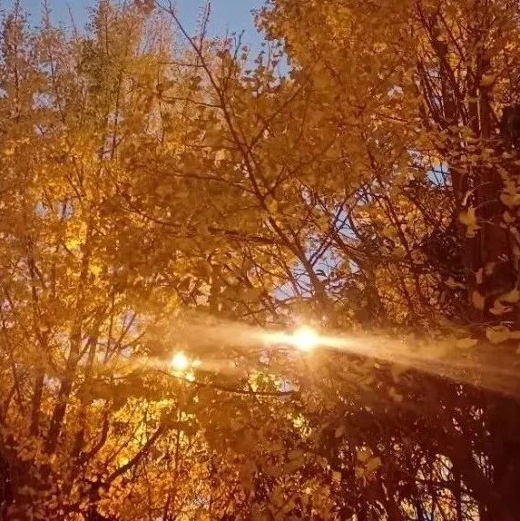 让人舒坦的10句话，值得一读！