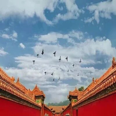 中国文化：三 、四、五、六 、七、八、九