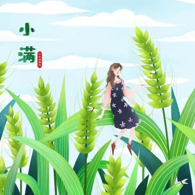 小满｜天道忌满，人道忌全