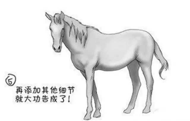 【小百科】五步教你画出一匹神采奕奕的马!