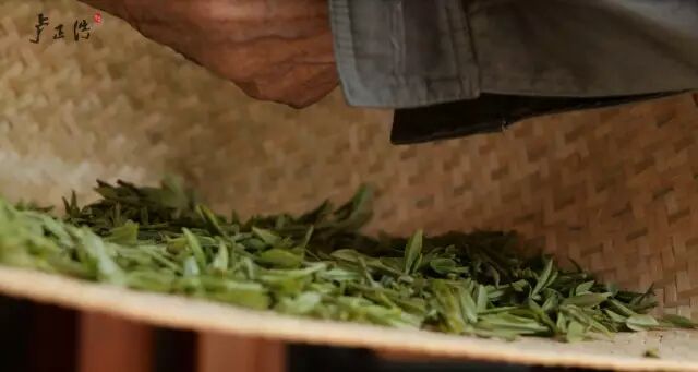 冬天不喝绿茶？教你巧用绿茶治疗季节病