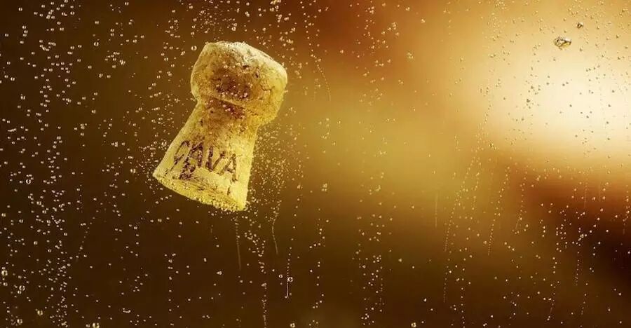 西班牙起泡酒Cava你真的了解吗?