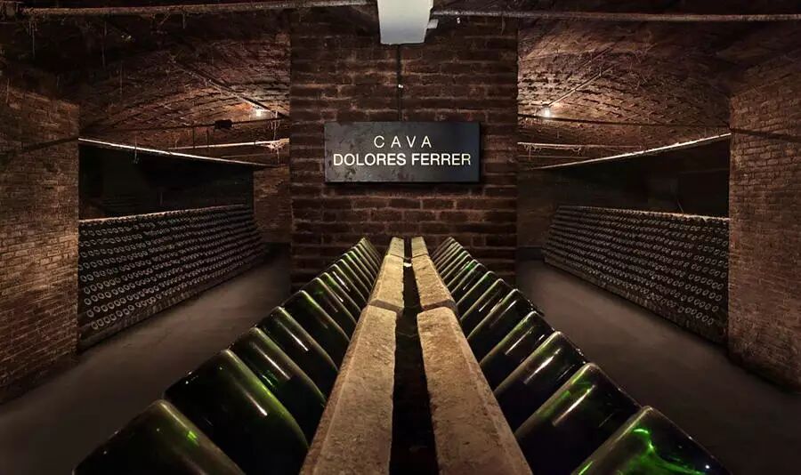 西班牙起泡酒Cava你真的了解吗?