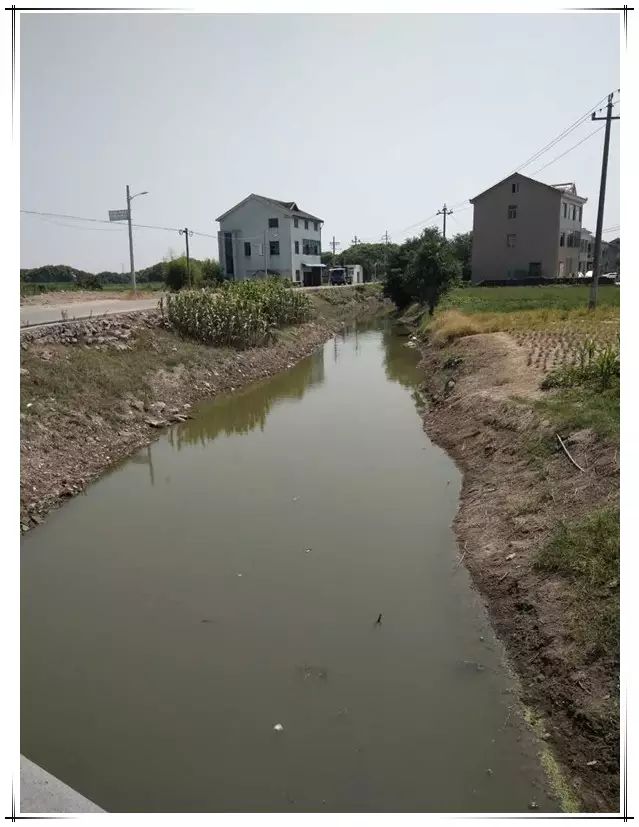 绍兴舍四塘江东段 坎西村 绍兴舍四塘江东段位于浙江省慈溪市坎墩街道