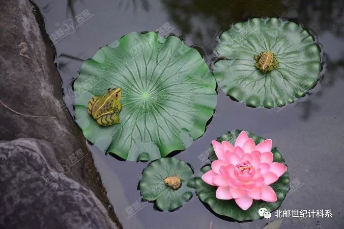 俳谐三祖与"俳圣"松尾芭蕉