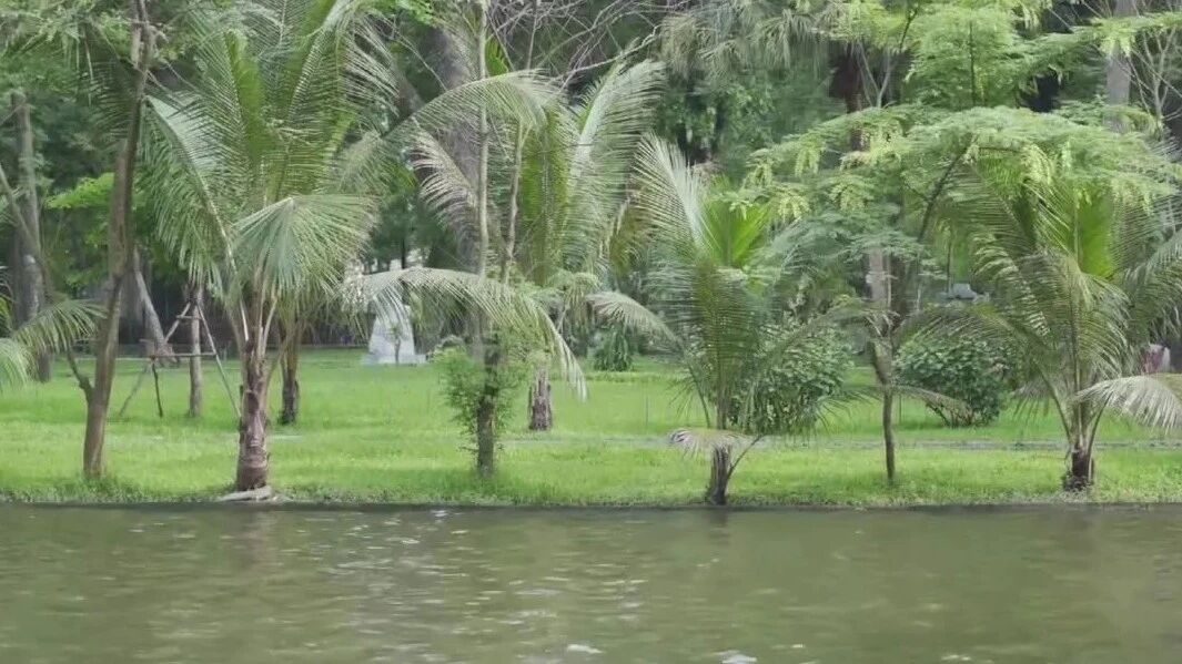 【轻松周末】音乐的旋律如清泉淌过，舒缓身心