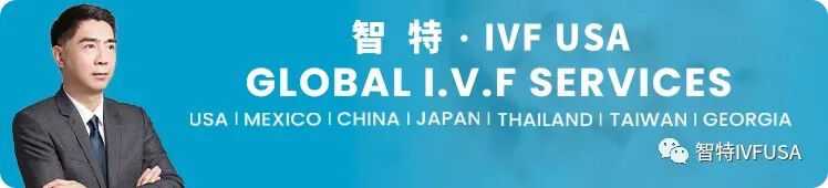 大年初二不催婚了，开始催我去冻卵：高知父母的“新年愿望”变了