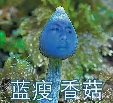 网络语言难受香菇是什么意思_难受香菇下一句是什么_难受香菇什么意思