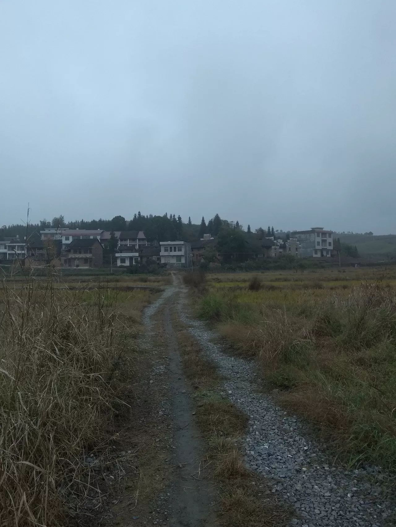 东湖圩镇田芝村,一个刻在心底的地名,一段恩情一辈子不忘