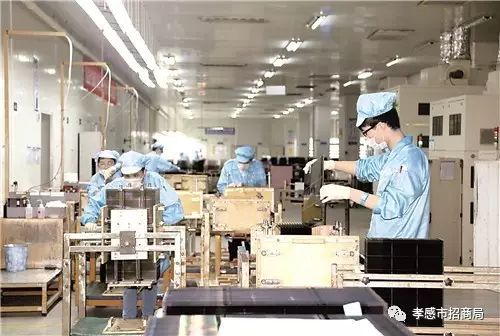 优尼科光电技术股份有限公司液晶面板加工车间