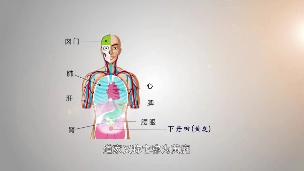 【汉字里的秘密】第19节 用心，用的是哪个心？